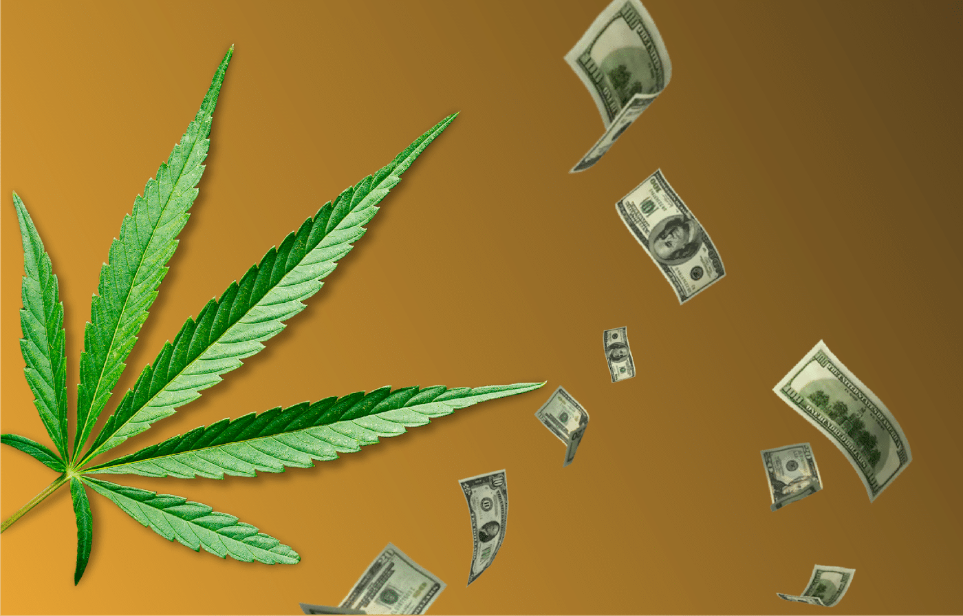 Accounting tips for cannabis businesses